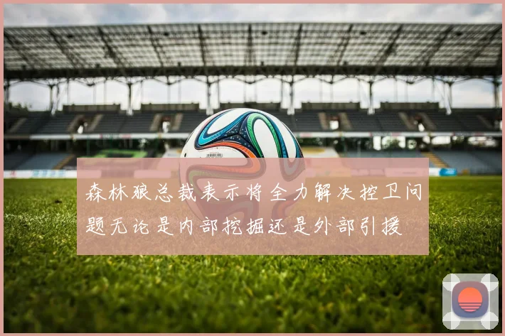 森林狼总裁表示将全力解决控卫问题无论是内部挖掘还是外部引援
