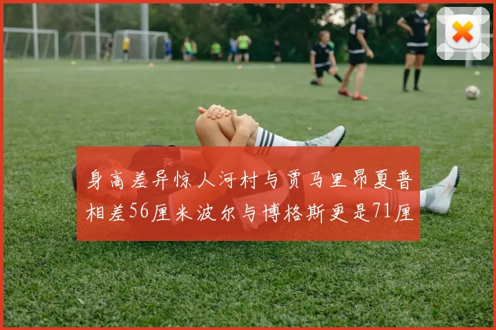 身高差异惊人河村与贾马里昂夏普相差56厘米波尔与博格斯更是71厘米