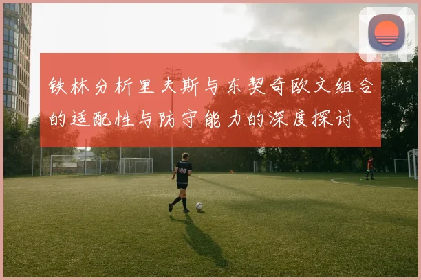 铁林分析里夫斯与东契奇欧文组合的适配性与防守能力的深度探讨