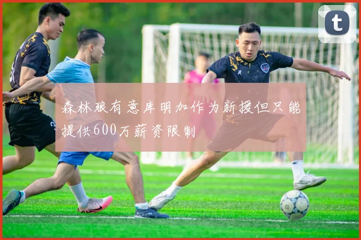 森林狼有意库明加作为新援但只能提供600万薪资限制